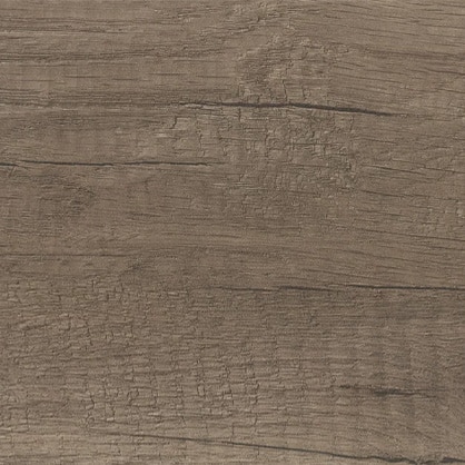 Nebraska Oak